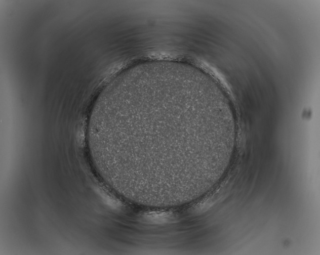 X0000097640065200803281132