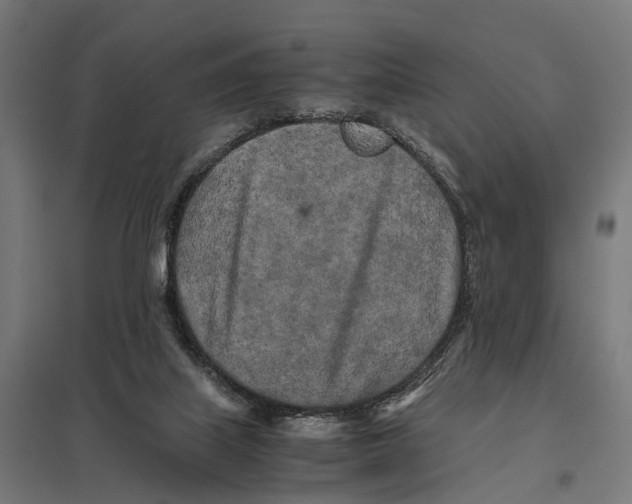 X0000097640067200803281132