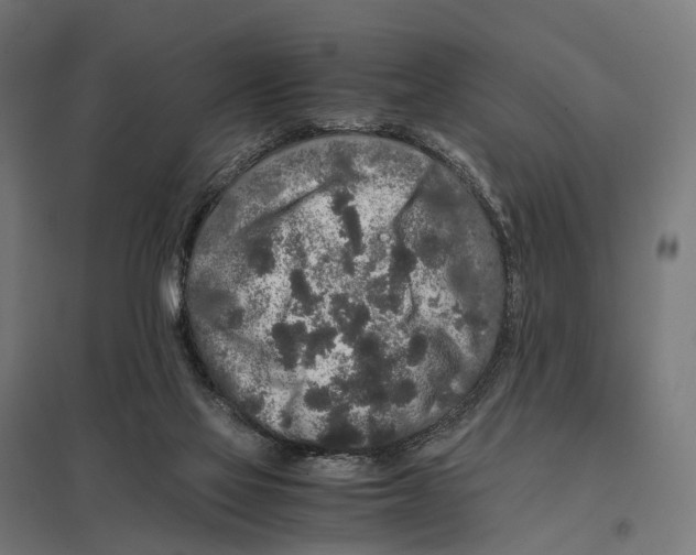 X0000097640069200803281132