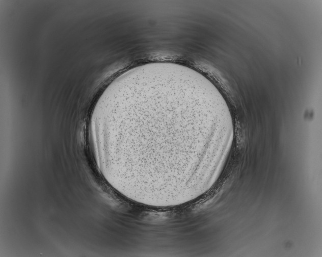 X0000097640071200803281132