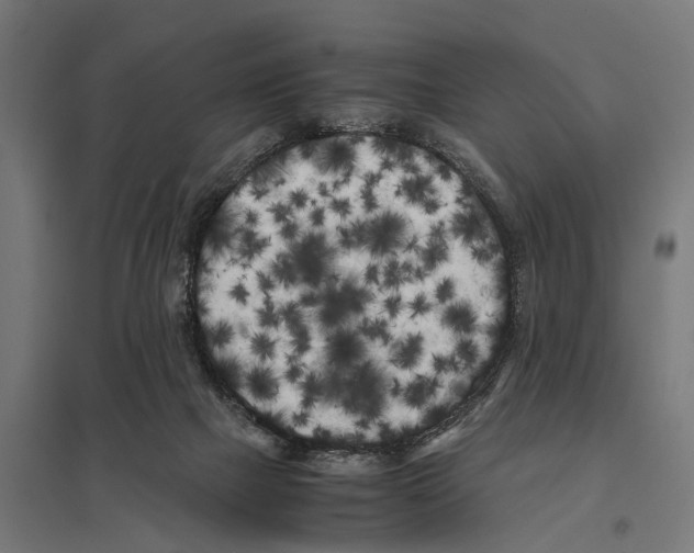 X0000097640073200803281132