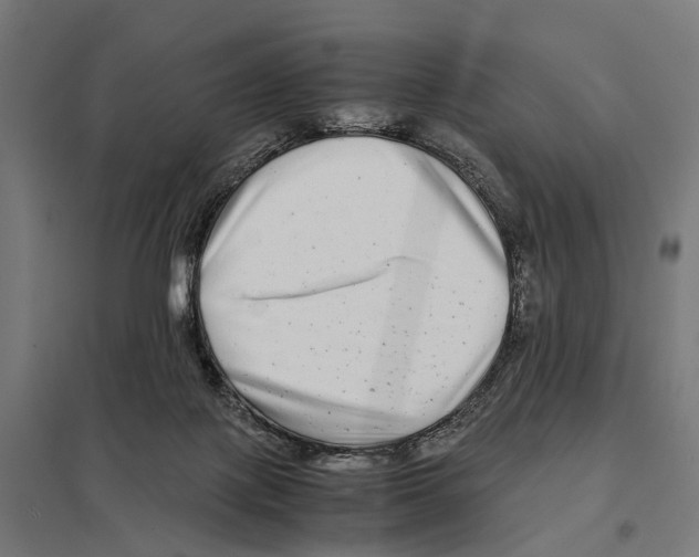 X0000097640075200803281132