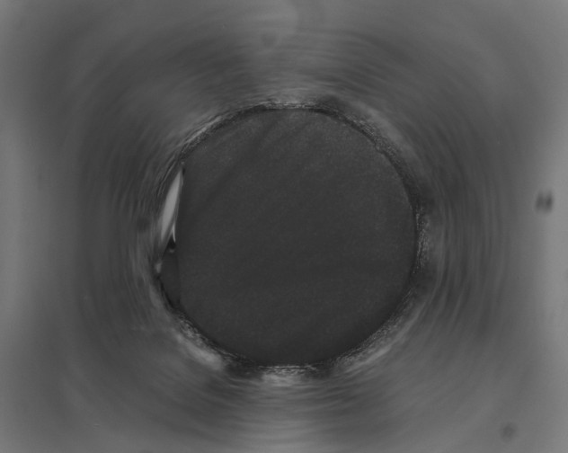 X0000097640076200803281132