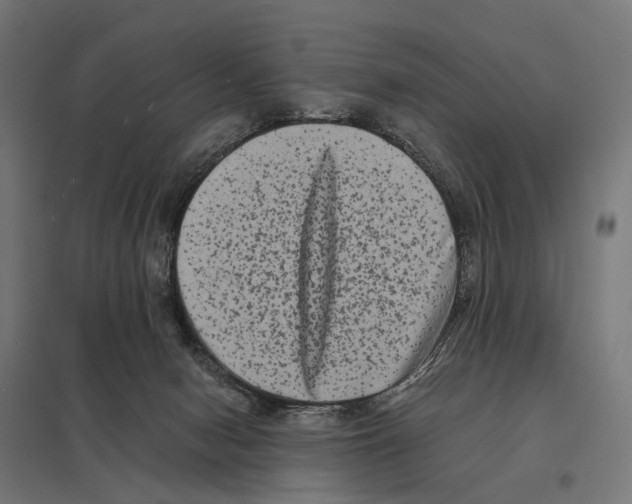 X0000097640078200803281132