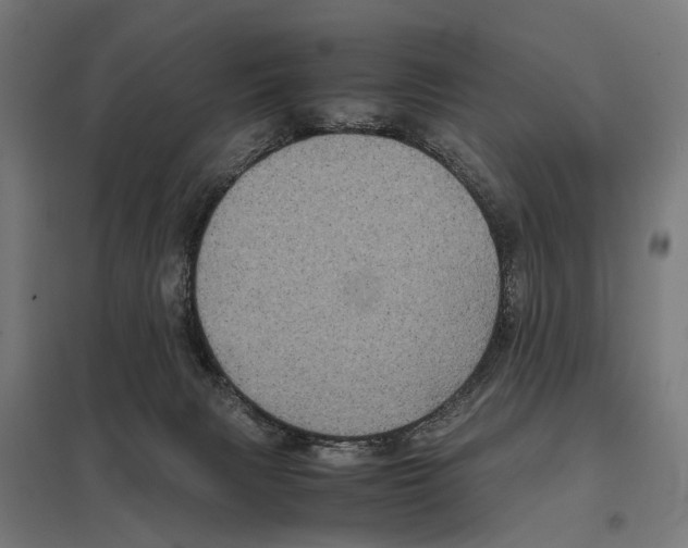 X0000097640079200803281132