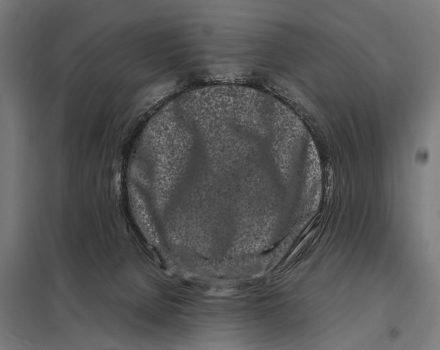 X0000097640080200803281132