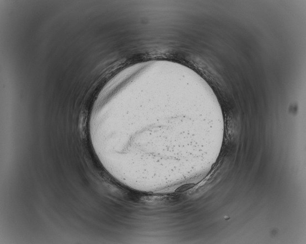 X0000097640082200803281132