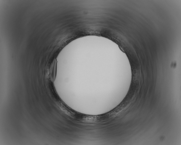 X0000097640084200803281132