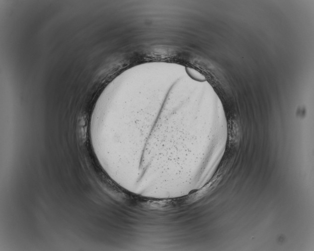 X0000097640086200803281132