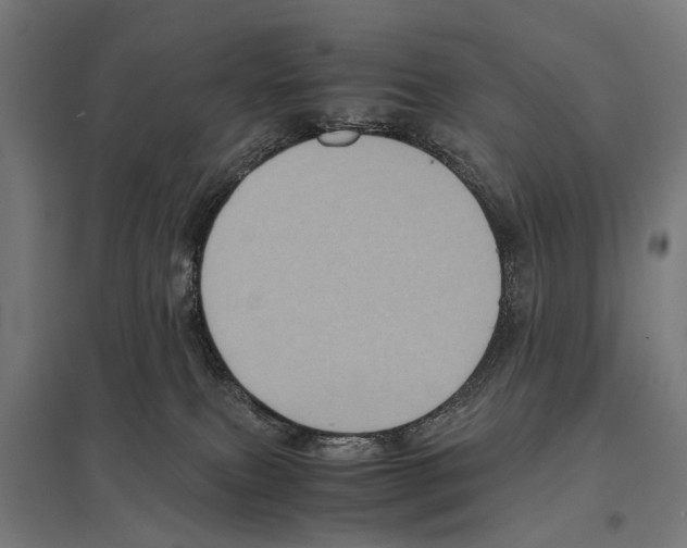 X0000097640087200803281132