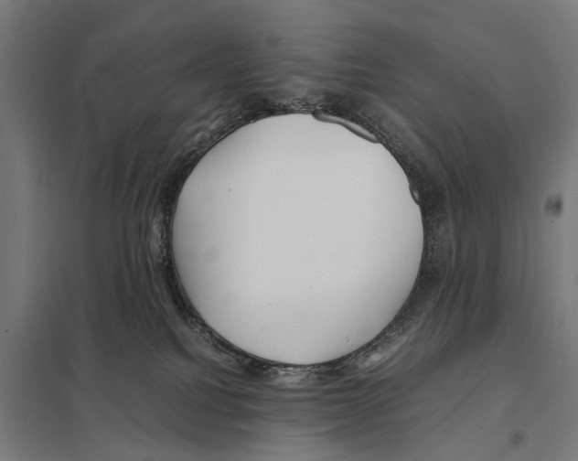 X0000097640088200803281132