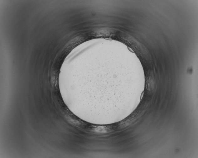 X0000097640091200803281132