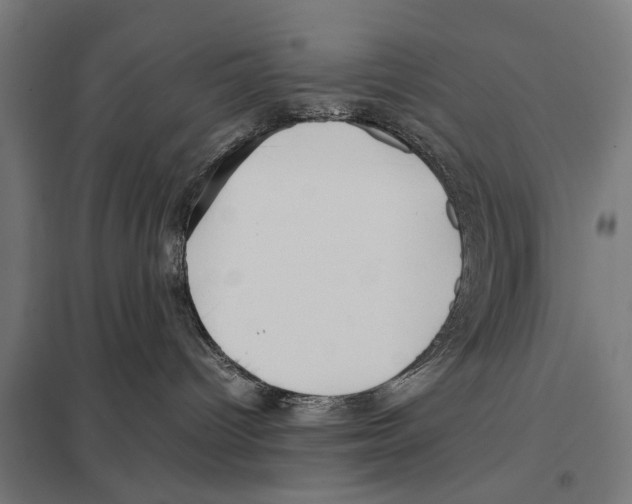 X0000097640096200803281132