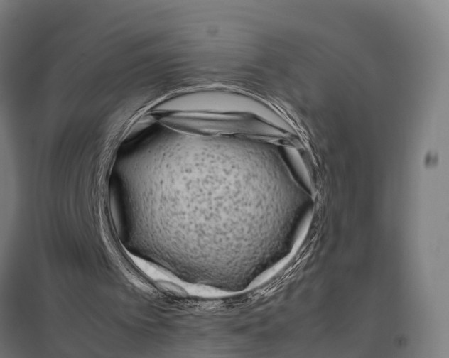 X0000097640097200803281132