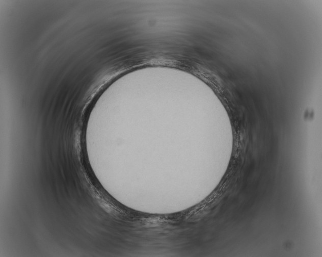 X0000097640098200803281132