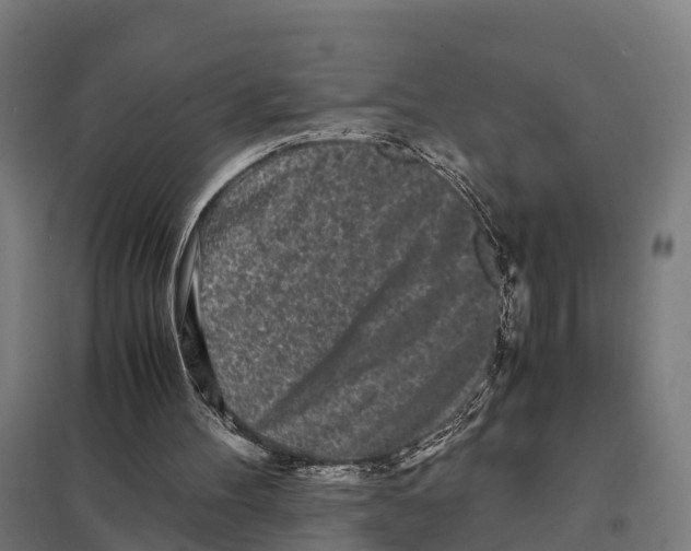 X0000097640100200803281132