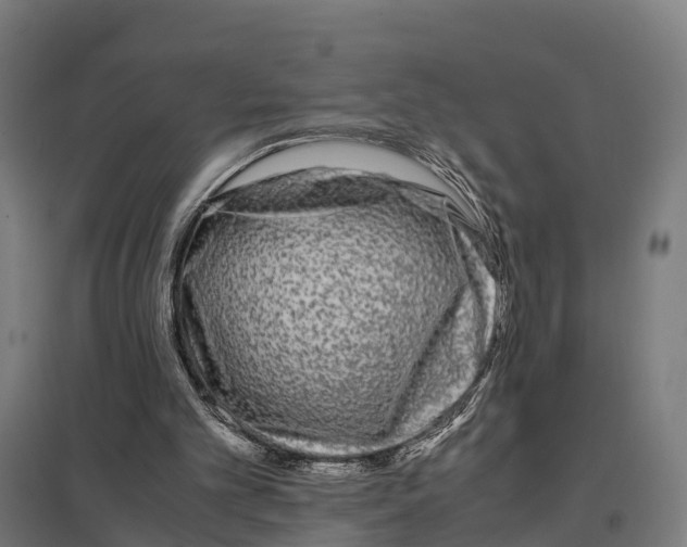 X0000097640101200803281132