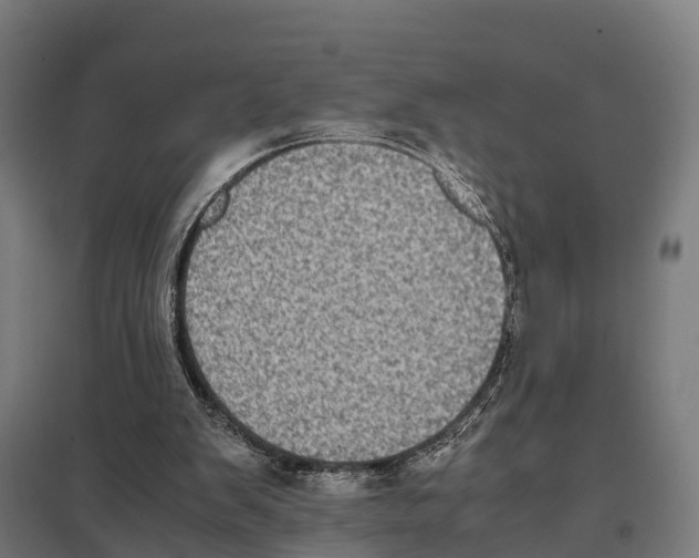 X0000097640103200803281132