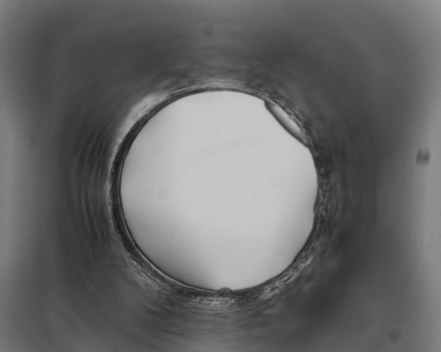 X0000097640104200803281131