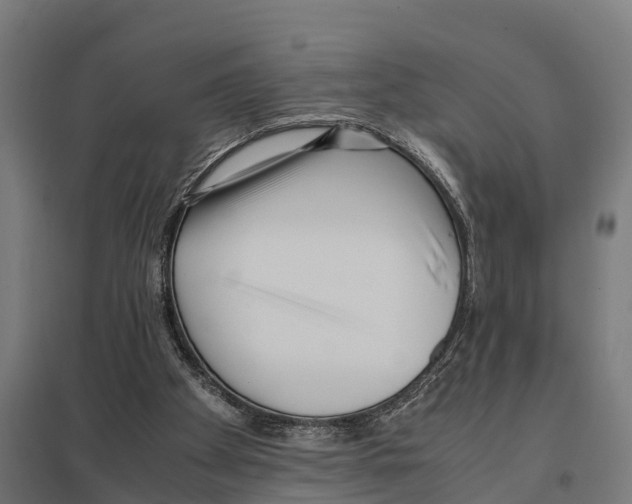 X0000097640105200803281131