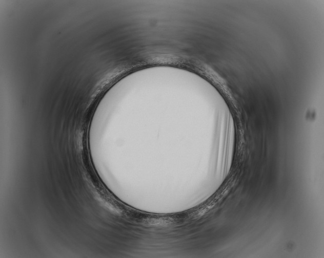 X0000097640106200803281131