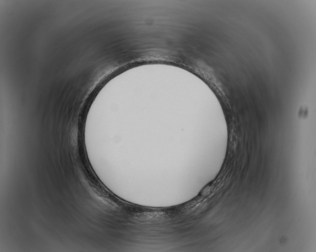 X0000097640108200803281131