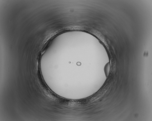 X0000097640109200803281131