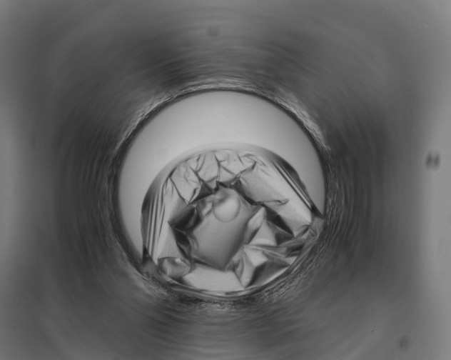 X0000097640110200803281131