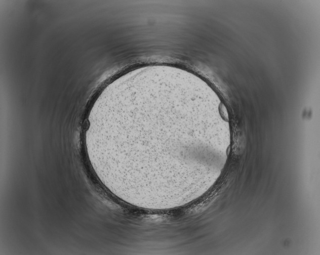 X0000097640111200803281131