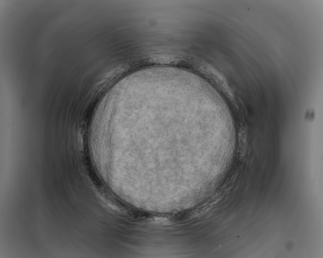 X0000097640114200803281131