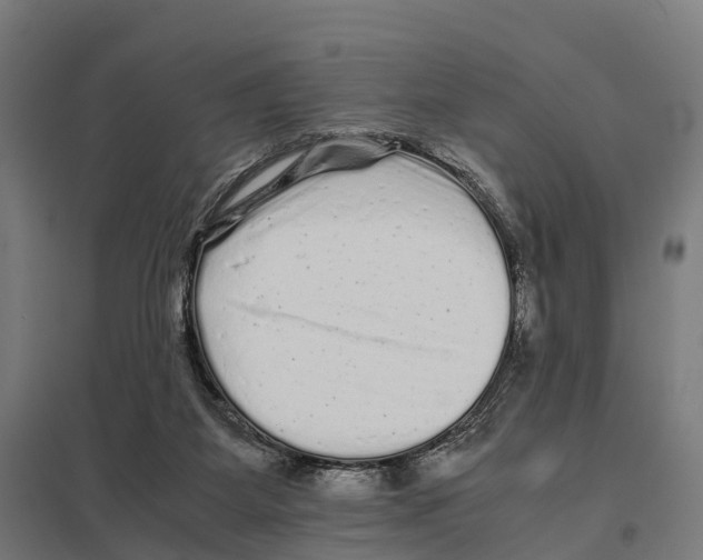 X0000097640115200803281131