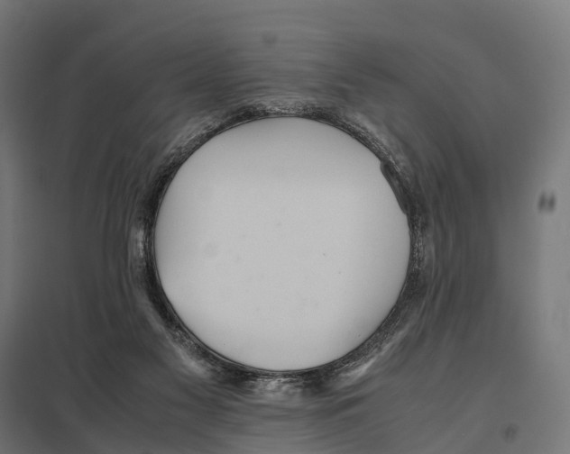 X0000097640117200803281131