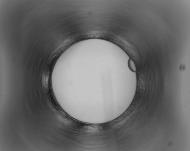 X0000097640118200803281131