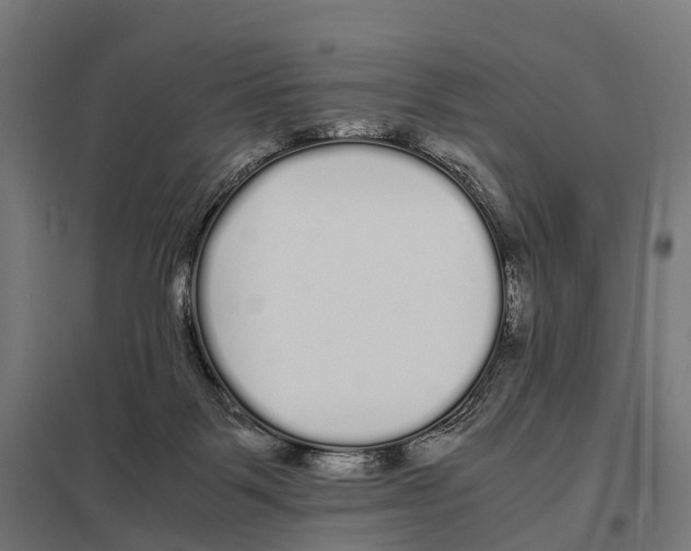 X0000097640123200803281131