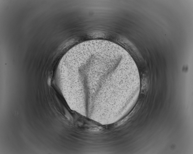 X0000097640124200803281131