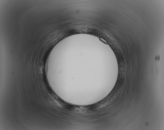 X0000097640125200803281131