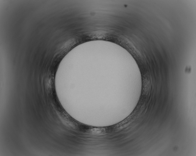 X0000097640126200803281131