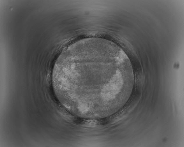 X0000097640127200803281131