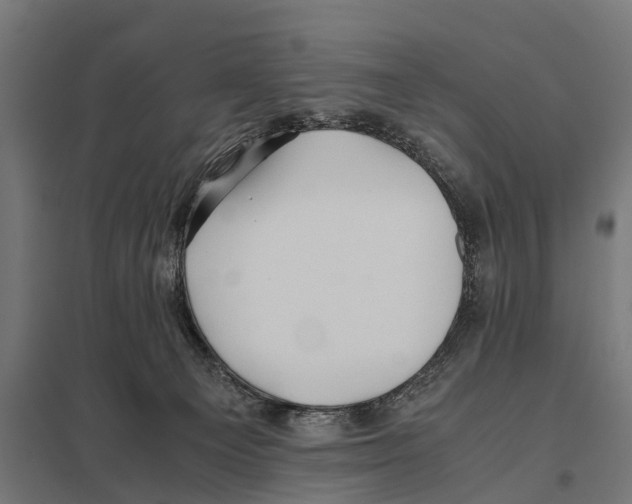 X0000097640129200803281131