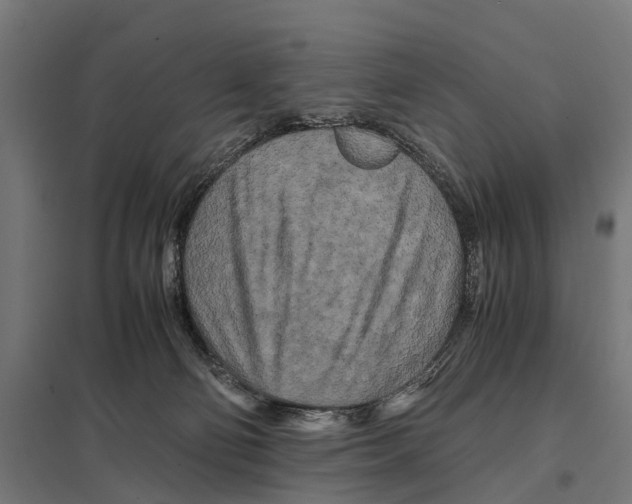 X0000097640130200803281131