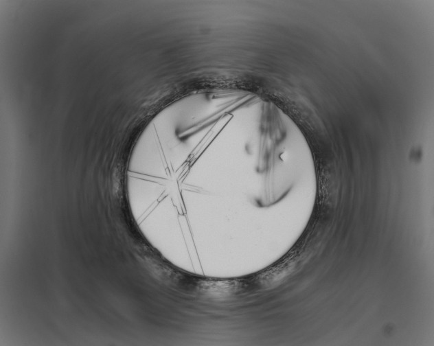 X0000097640131200803281131