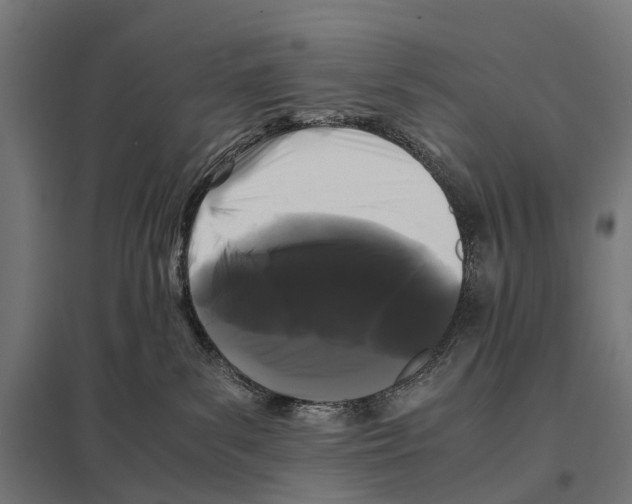 X0000097640139200803281131