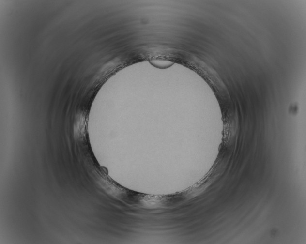 X0000097640142200803281131