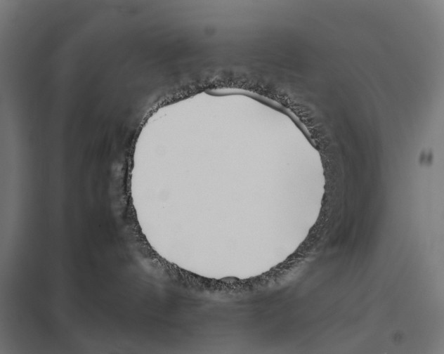 X0000097640144200803281131