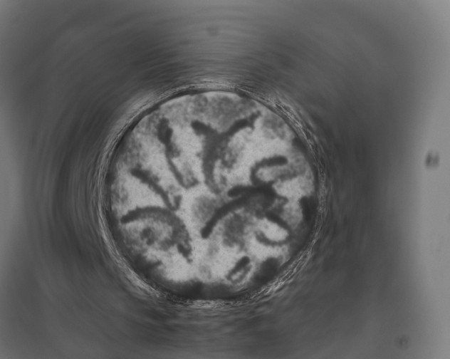 X0000097640145200803281130