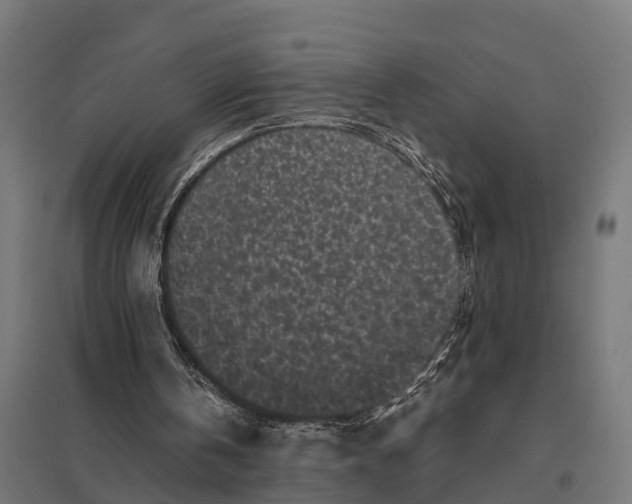 X0000097640146200803281130