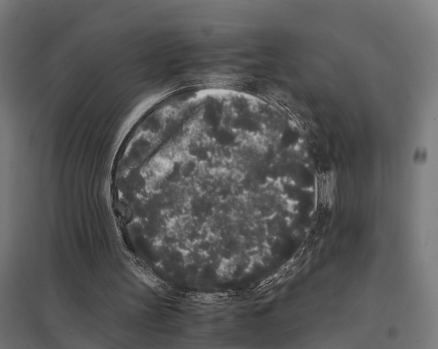 X0000097640147200803281130