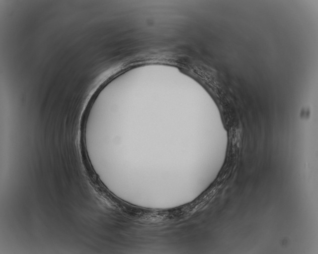 X0000097640148200803281130