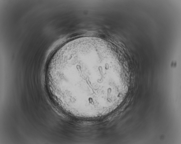 X0000097640149200803281130