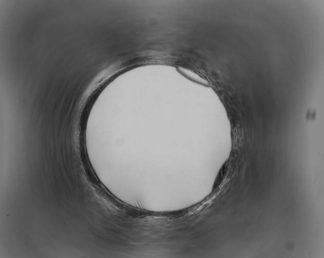 X0000097640150200803281130